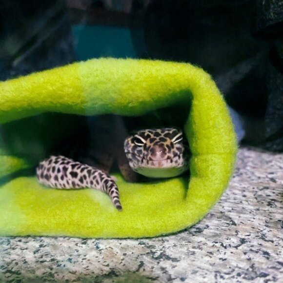 Reptile Snuggle Sack Shark Design - Picture 4 of 4